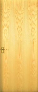 Internal door, Ash - Flush door